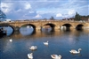 Fulham: Down by the river Fulham: Down by the river