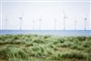 There are simple ways for tenants to go green