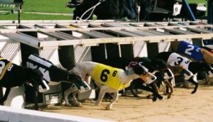 New houses planned for Walthamstow Stadium site