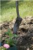 Londoners 'should prepare allotments for winter'