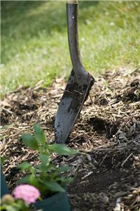 Londoners 'should prepare allotments for winter'