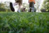 Bromley residents can hunt for hidden gems in area Bromley residents can hunt for hidden gems in area