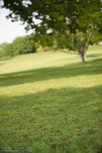 Deptford: Great for those who love green spaces