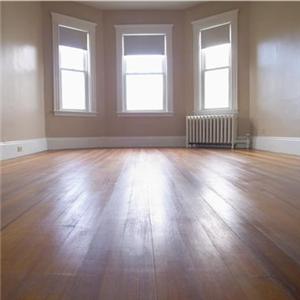 Thousands of private houses 'lying empty'