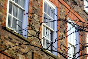 Haringey residents move into permanent housing