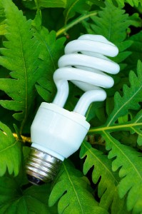 Kingston residents to be assisted with energy saving