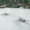 Chiswick: Flowers by the Thames