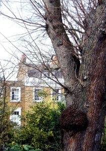 Putney High Street to see environmental improvements