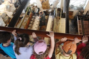 Lewisham museum wins family-friendly accolade