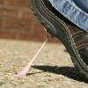 Hounslow hands out fines for litter