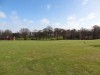 Derelict site transformed into community garden