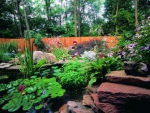 Gardeners prepare for Islington In Bloom
